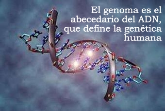 epigenetica2.jpg