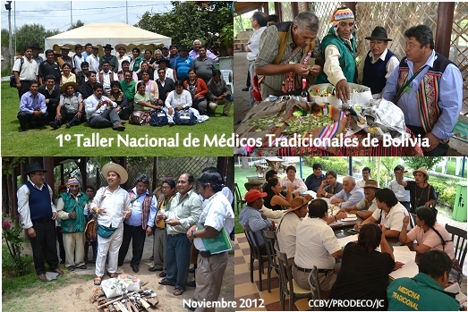 evento_nacional_medicos_tradicionales_-__bolivia.jpg