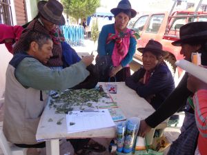 feria2.jpg
