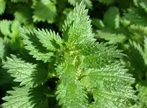 nota5_140812_min.jpg